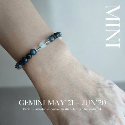 2025 HOROSCOPE - GEMINI (Mini)