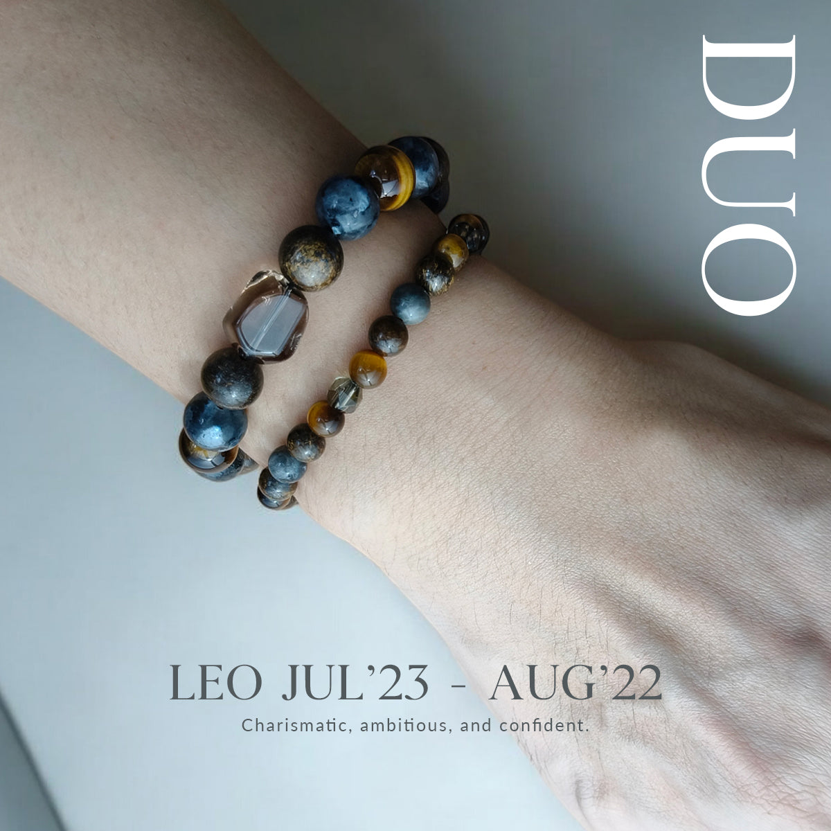 2025 HOROSCOPE - LEO (Duo)