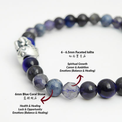 THE PROSPERIS Bracelet